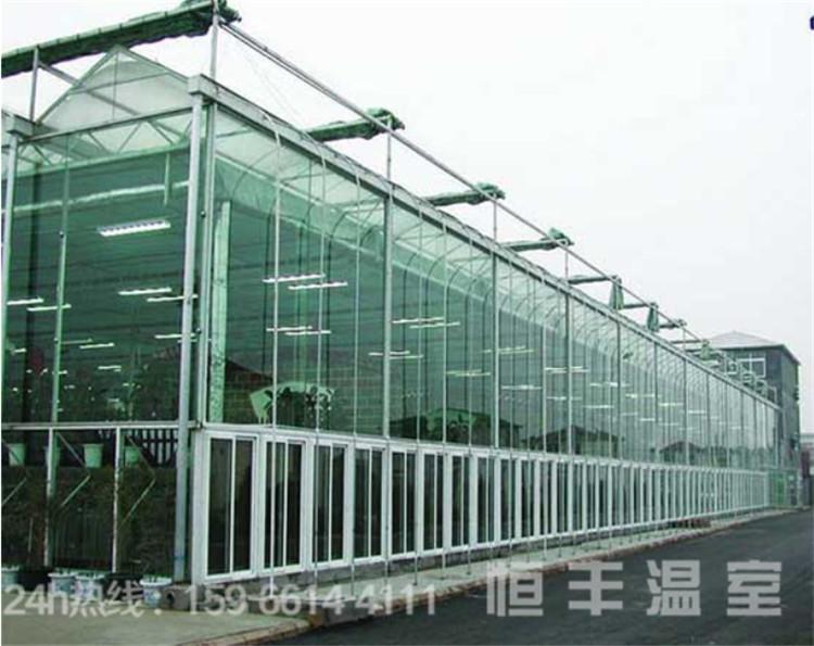 承接各种温室大棚定制  温室大棚设计 恒丰温室