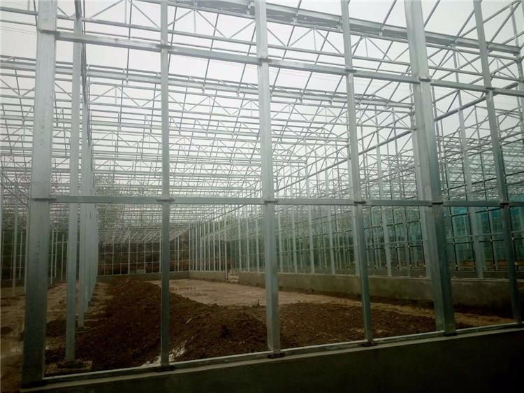连栋薄膜温室 连栋 单体 养殖 连栋薄膜建造