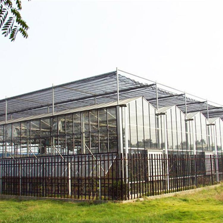 玻璃温室建设 施工快捷 青州智能玻璃温室