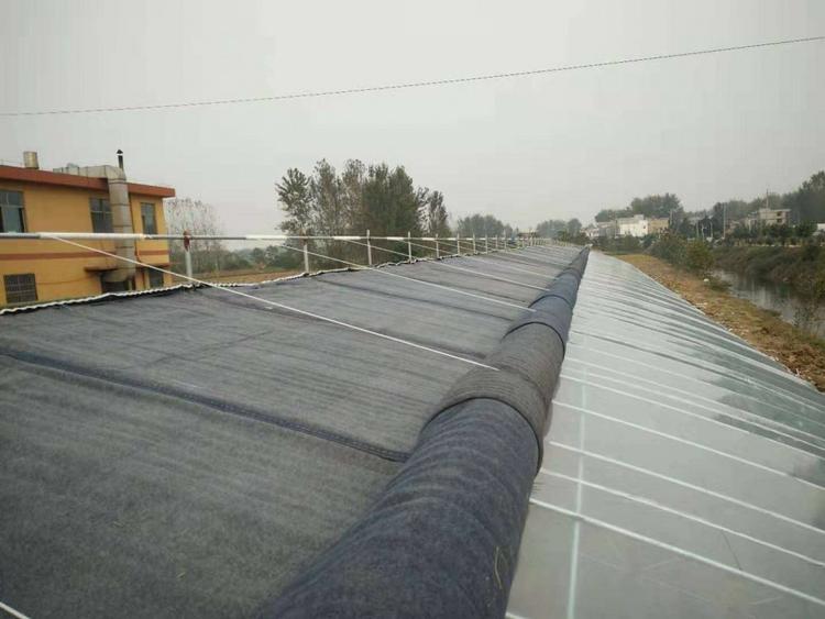 承建钢管蔬菜大棚报价