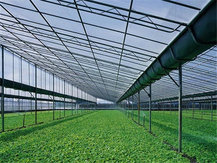 花卉养殖连栋薄膜大棚 内遮阳连栋大棚  连栋薄膜智能温室