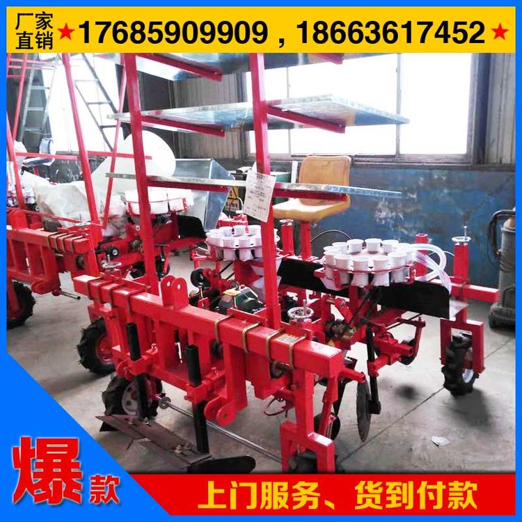 甘肃辣椒栽苗机价格