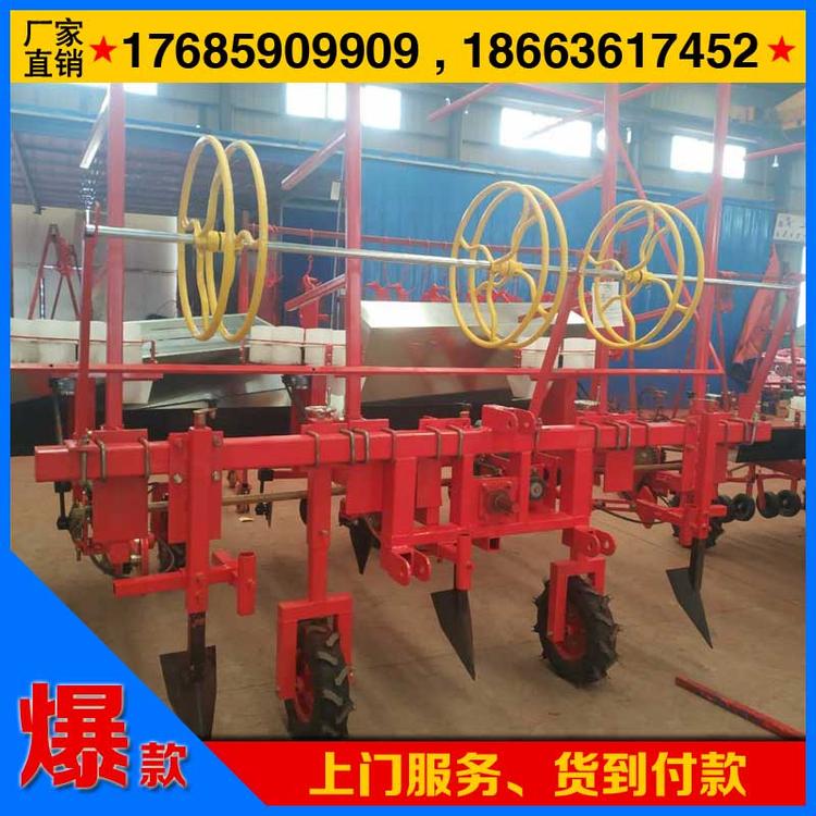 香港辣椒栽苗机价格