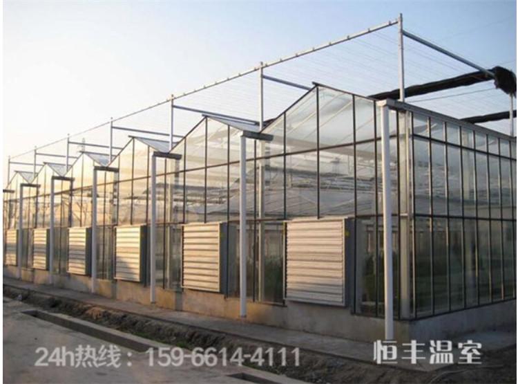 pc阳光板温室  阳光板生态餐厅  园艺阳光板温室搭建