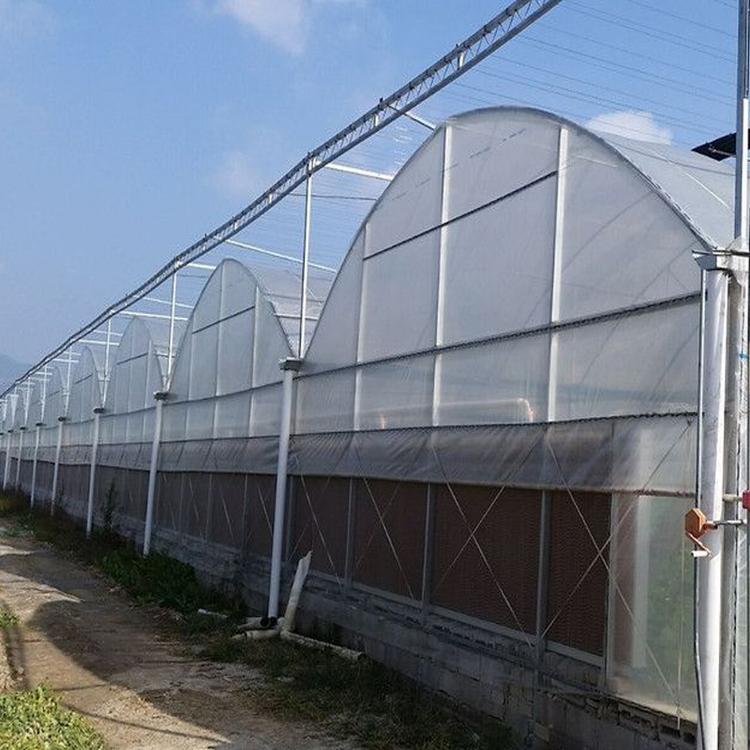 连栋大棚连栋温室大棚热镀锌大棚骨架养殖大棚蔬菜大棚热镀锌钢管花卉大棚报价
