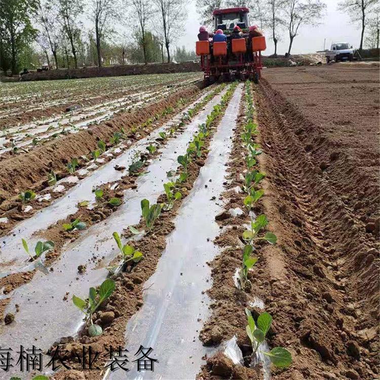 潍坊甜菜移栽机 移栽机出售 口碑好的甜菜移栽机
