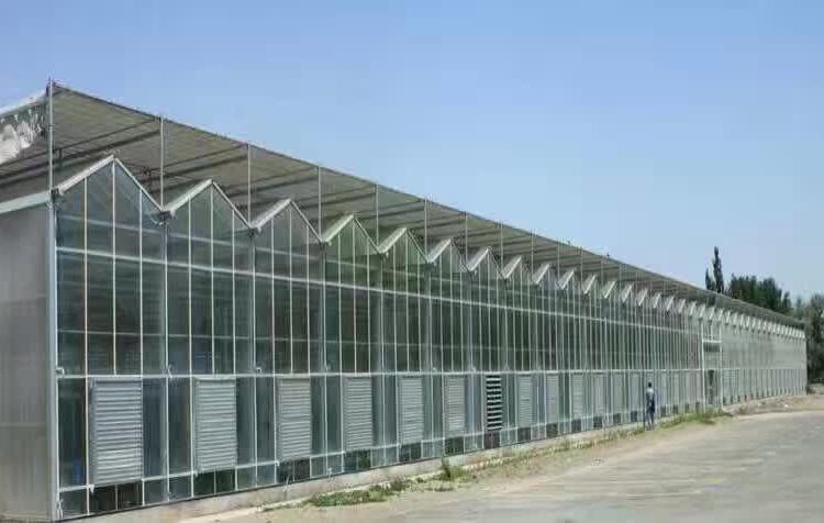 山东蔬菜大棚 玻璃温室建设 效率高的蔬菜大棚