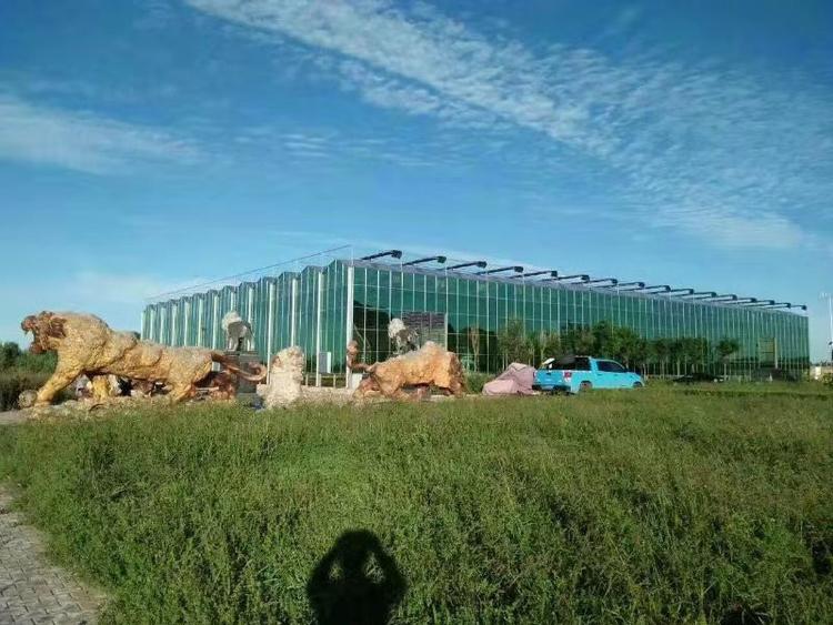 温室大棚 青州玻璃温室建设 效率高的温室大棚