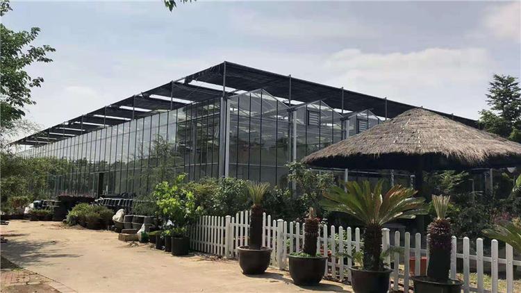 蔬菜大棚 青州玻璃智能大棚承建 价格优惠的蔬菜大棚