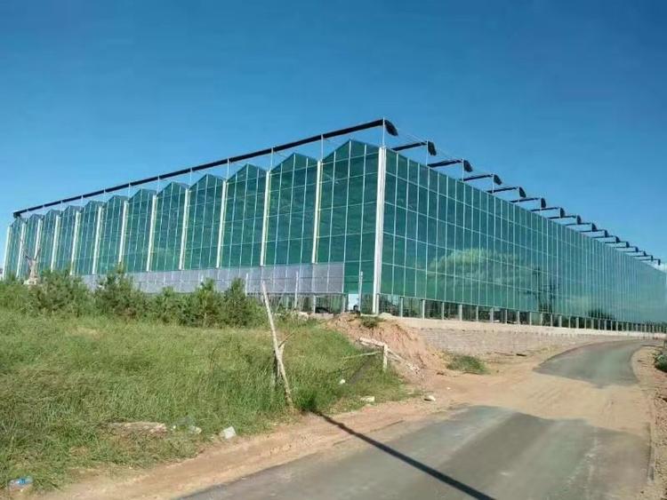 潍坊玻璃智能温室 温室大棚建设厂家 价格优惠的玻璃智能温室
