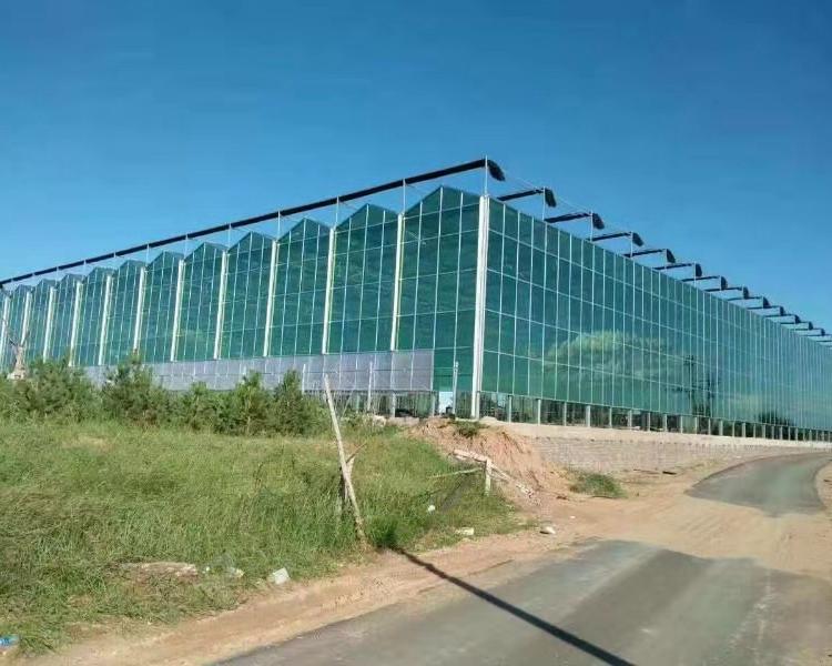 厂家建设玻璃温室 潍坊玻璃温室 玻璃智能温室建造