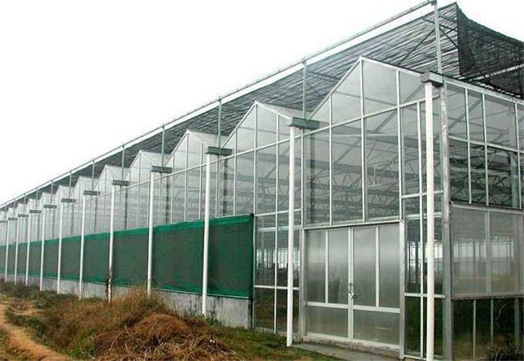 现代化玻璃大棚 花卉大棚 养殖温室搭建 玻璃温室