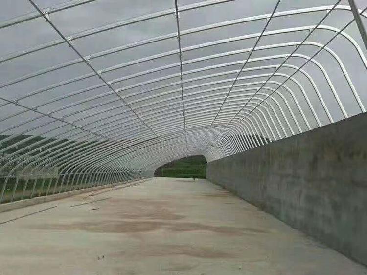 可定制 樱桃种植大棚 樱桃种植大棚承建公司
