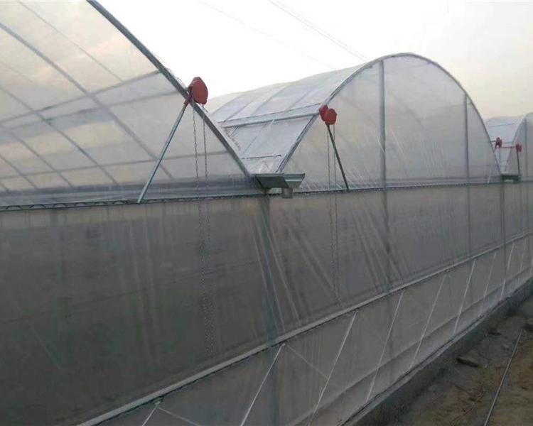 陕西蔬菜种植大棚 樱桃种植大棚承建公司 施工快捷蔬菜种植大棚