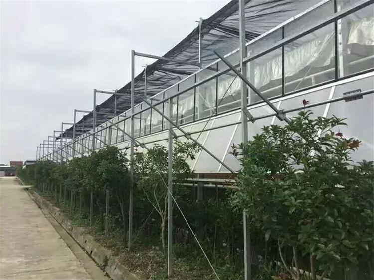 温室大棚造价明细  内蒙温室大棚造价明细  温室大棚造价明细温室大棚的结构玻璃温室骨架