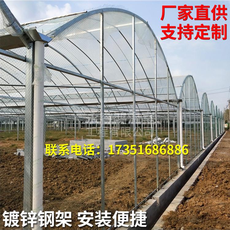 德州外遮阳温室大棚 蔬菜大棚 连体大棚 玻璃温室大棚 养殖大棚 热镀锌钢管厂家直销实力厂家