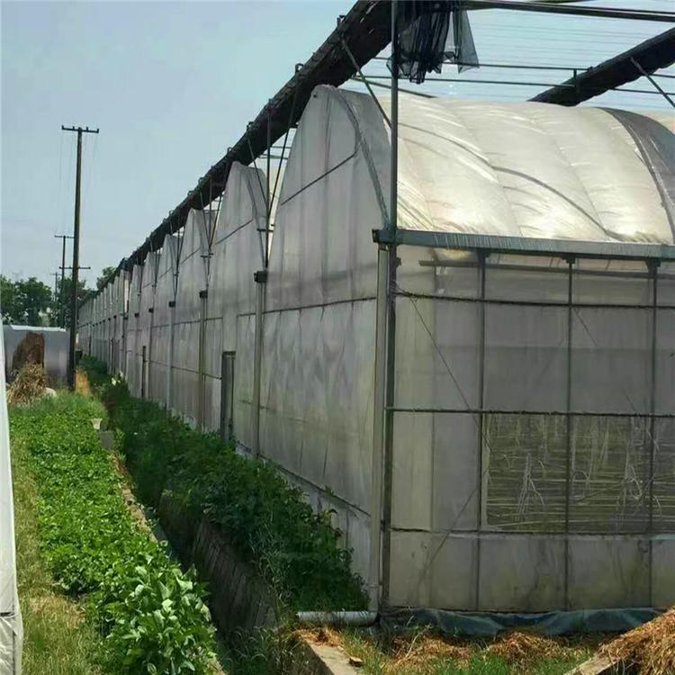 九江连栋外遮阳薄膜连栋温室大棚骨架厂家内遮阳保温连体蔬菜花卉钢架材料大棚价格