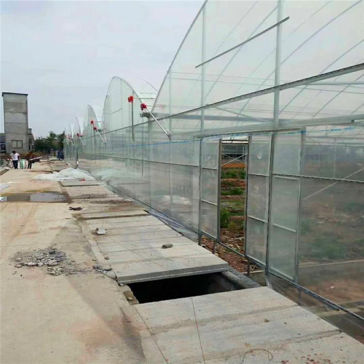 连栋温室大棚温室大棚骨架钢管定制蔬菜养殖大棚简易农业连体连栋大棚钢架配件欢迎定制