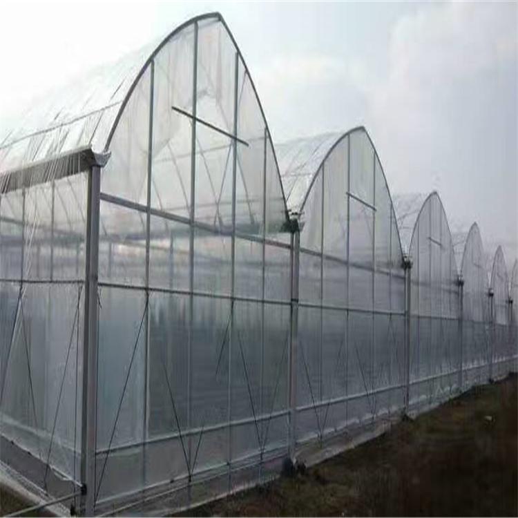 温室大棚外遮阳连栋大棚玻璃温室蔬菜大棚养殖大棚温室大棚骨架养殖大棚价格