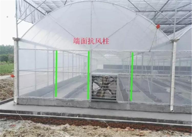 无土栽培  河南无土栽培  无土栽培温室生态餐厅温室生态餐厅建设