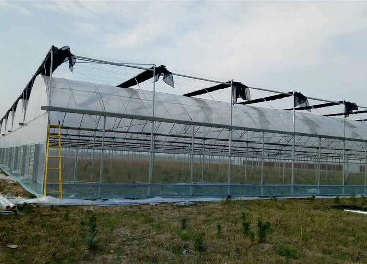 智能温室  青岛智能温室  智能温室温室大棚玻璃温室造价