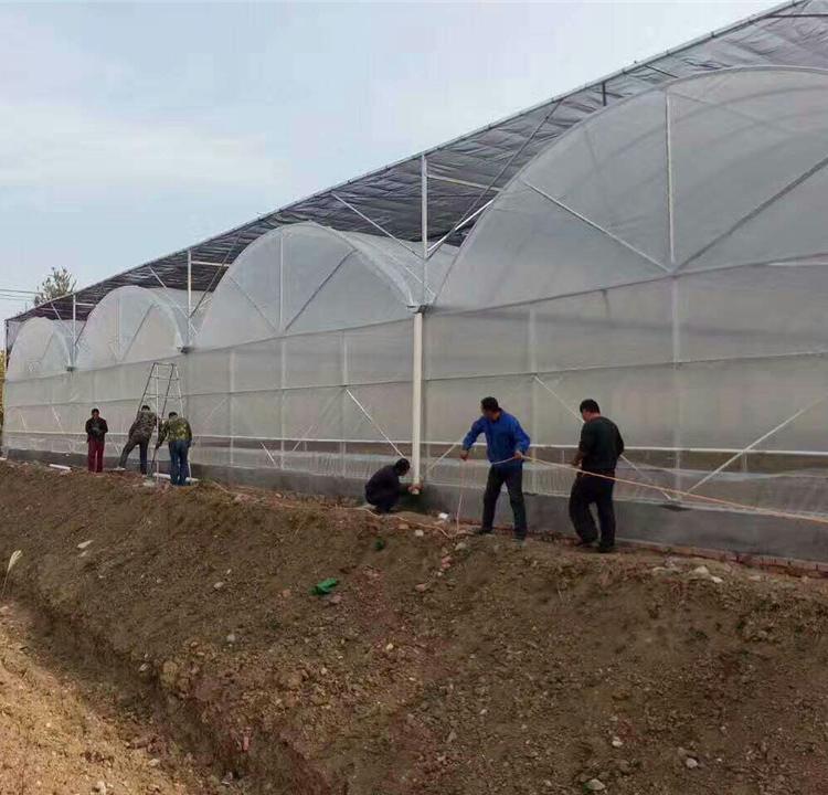 温室工程  甘肃温室工程  温室工程温室大棚的结构温室生态餐厅建设