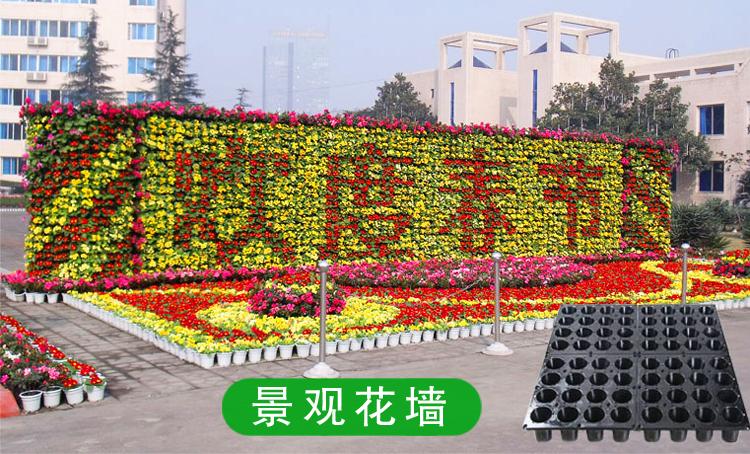 景观立体铁艺造型 花球 花柱 铁艺造型 卡盆花球 鲜花花球 价格