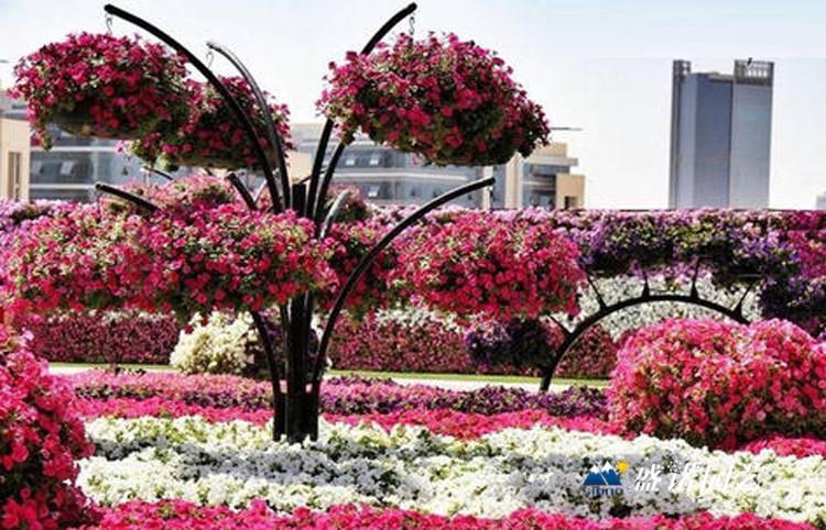 景观立体景观 花球 花柱 立体花架  简易花球 景观花坛 花球 批发厂家