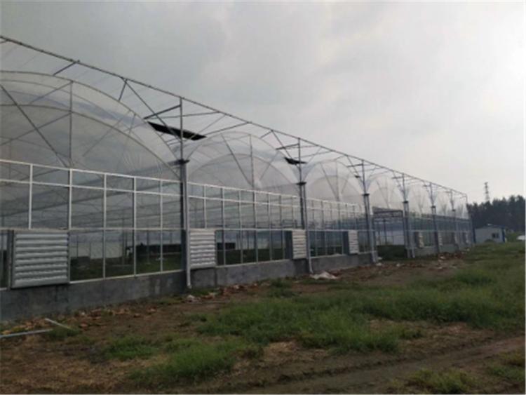 温室生态餐厅  青岛温室生态餐厅  温室生态餐厅玻璃温室大棚温室生态餐厅建设