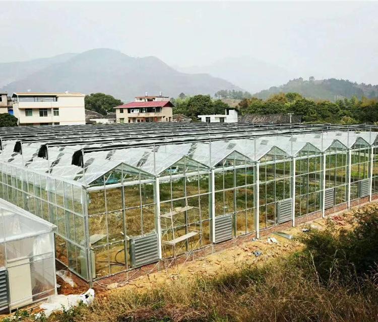 温室工程  内蒙温室工程  温室工程温室生态餐厅玻璃温室骨架