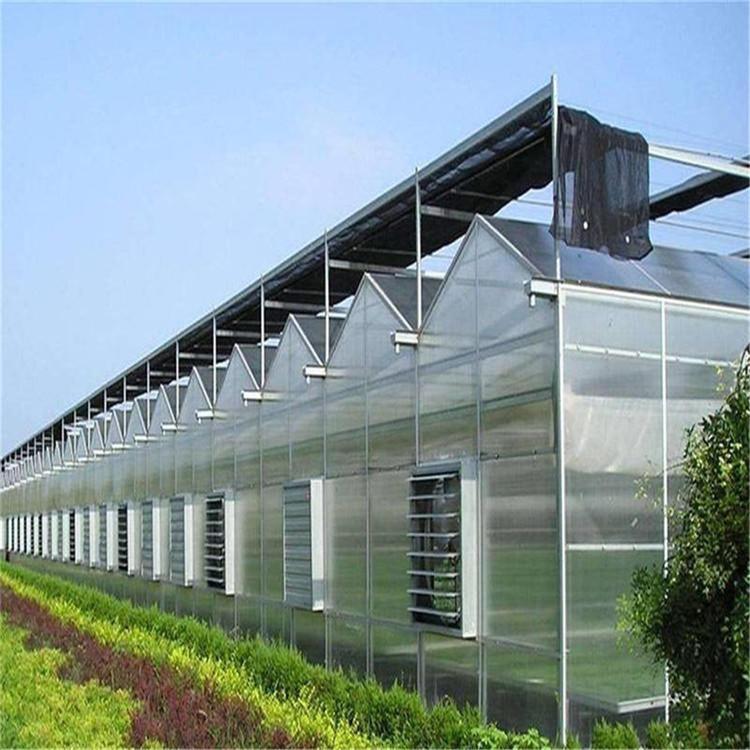 温室大棚  内蒙温室大棚  温室大棚温室大棚的结构玻璃温室花房