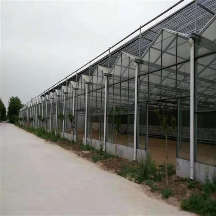 温室生态餐厅  江西温室生态餐厅  温室生态餐厅玻璃温室大棚玻璃温室造价