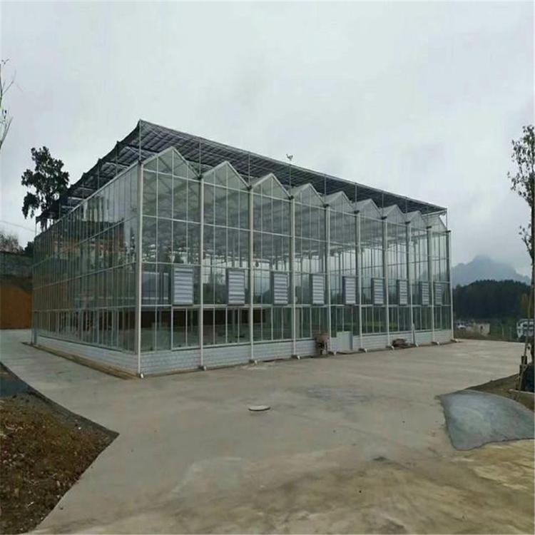 无土栽培  青岛无土栽培  无土栽培温室大棚的结构玻璃温室造价