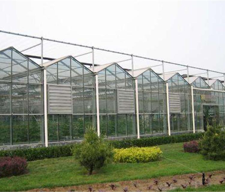 温室工程  江西温室工程  温室工程玻璃温室大棚玻璃温室大棚施工方案
