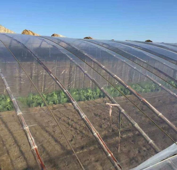 常年供应po膜 po膜报价 值得信赖