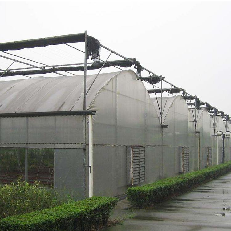 625/825定制大棚骨架蔬菜大棚温室大棚养殖大棚水果多肉连栋大棚连栋温室大棚价格