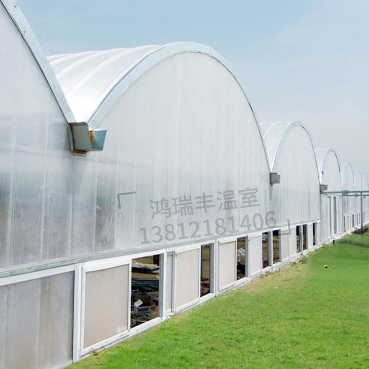 赣州连体大棚  简易连栋大棚 蔬菜大棚养殖大棚玻璃温室大棚阳光板玻璃温室生产销售