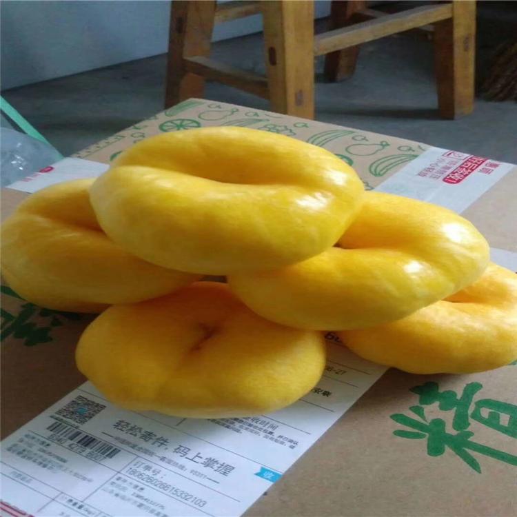 蟠36-5桃树苗 普润苗木  春晓桃树苗 推荐基地  油蟠6-6桃树苗  经销统销基地