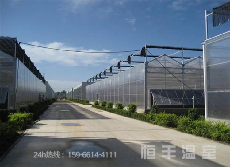蔬菜种植温室大棚  阳光板大棚直接报价