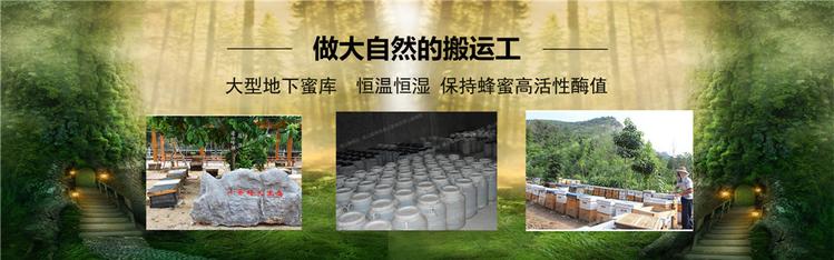 老巢蜜零售 菏泽百花老巢蜜 逄山蜜蜂园批发价格