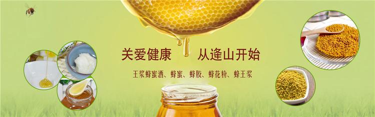 450g枣花蜜 临沂枣花蜜价格 逄山蜜蜂园批发价格