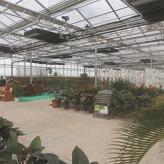 承建各种花室  温室工程    长年供应温室配件  
