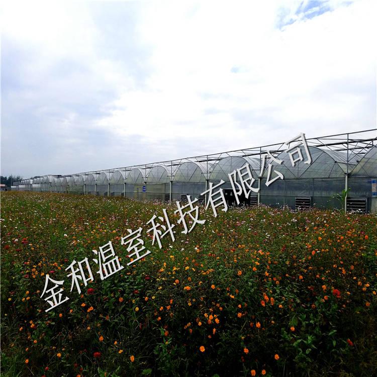 连体温室大棚承建商   金和温室专注设计建造连体温室大棚