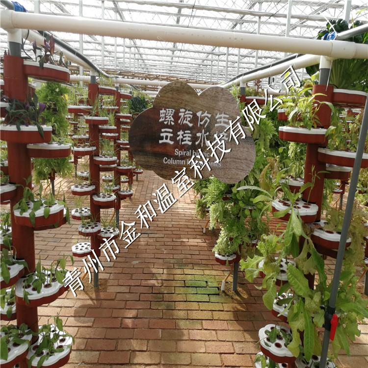 无土栽培 空中草莓 鱼菜共生 景观农业