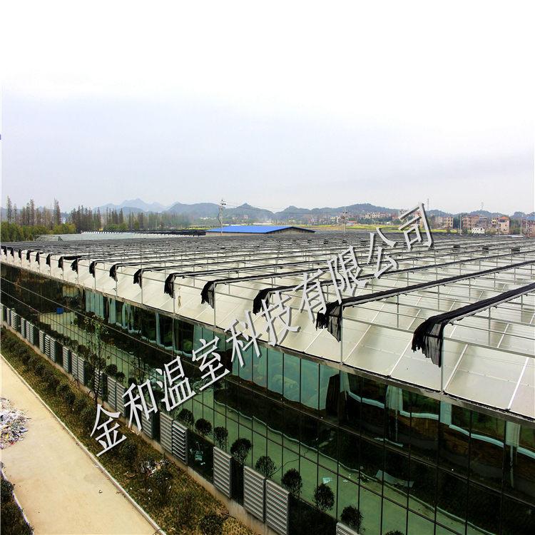 玻璃温室大棚设计公司     金和为您设计   玻璃温室大棚建造商