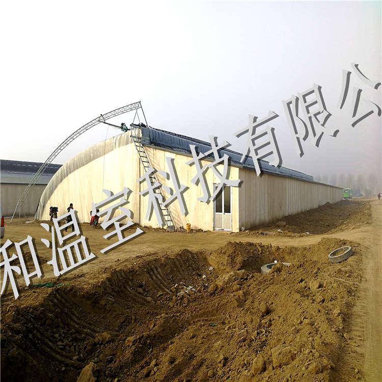 蔬菜大棚搭建_金和温室蔬菜大棚施工厂家_蔬菜大棚设计