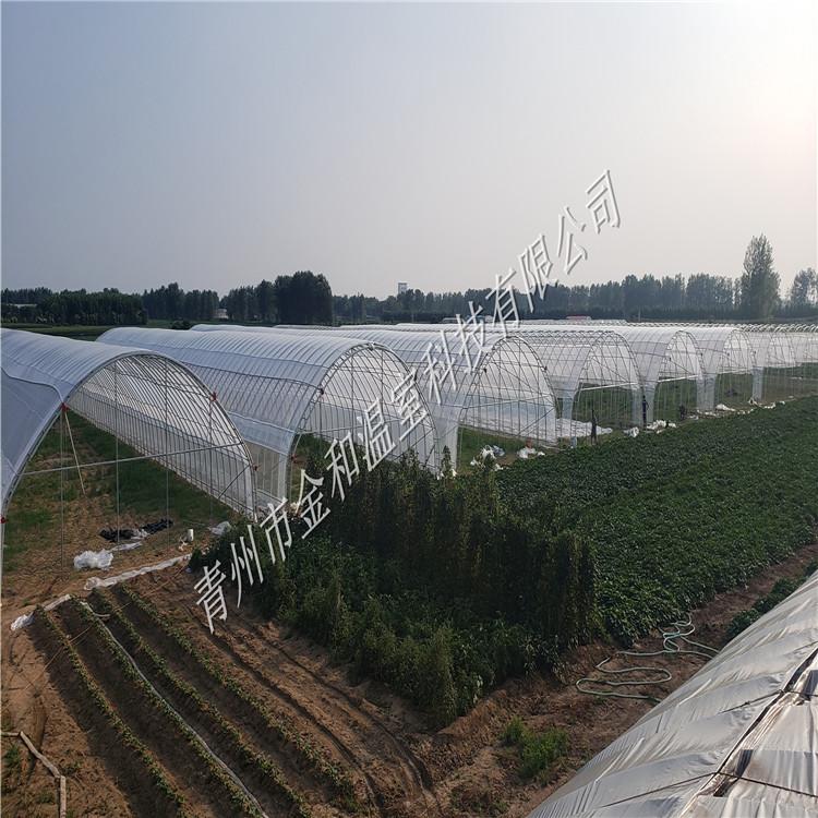 高端春秋大棚   蔬菜大棚   南方蔬菜大棚