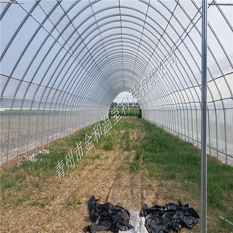 山东蔬菜大棚承建_蔬菜大棚建造_蔬菜大棚造价