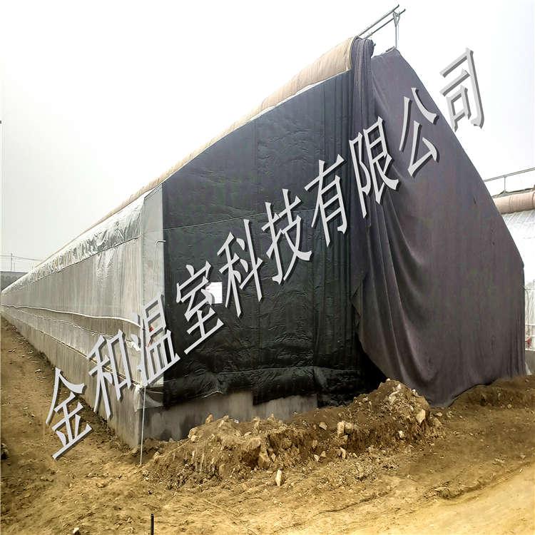 果树大棚 樱桃大棚 草莓大棚