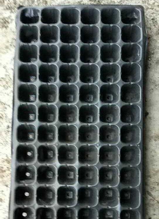 育苗基质价格 育苗基质厂家 盛禾育苗基质